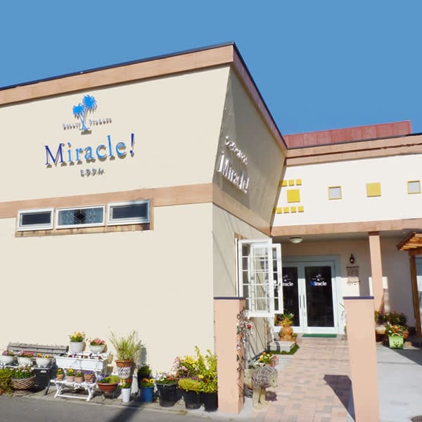 Beauty Produce Miracle