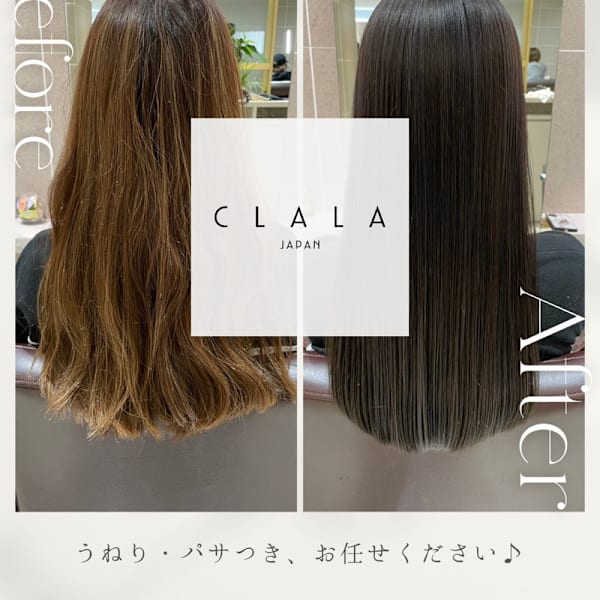 CLALA Seta（クララセタ）