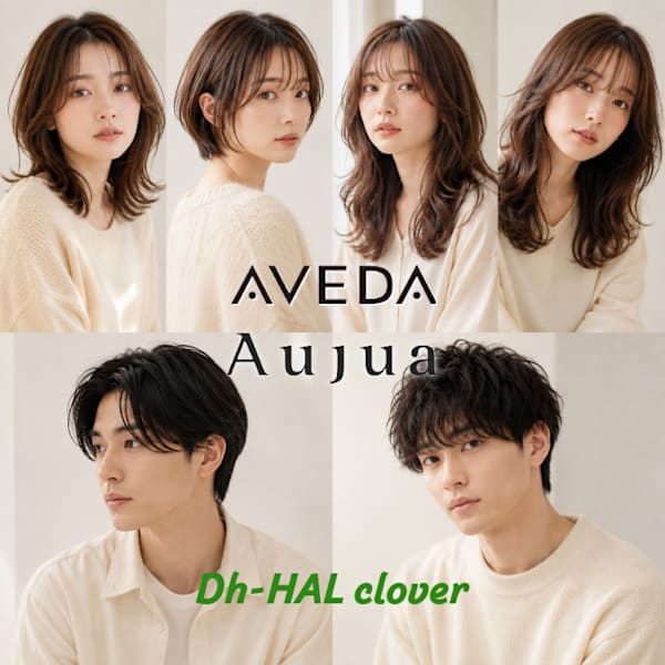 Dh-HAL clover