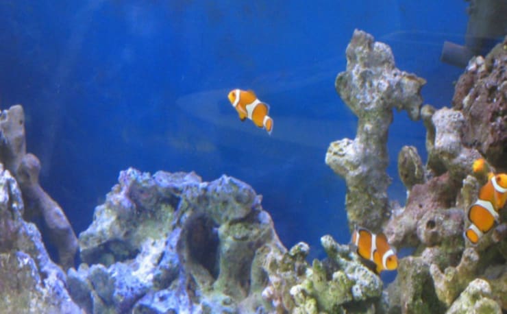 Hair Design Lien ヘアデザイン リアン の予約 サロン情報 美容院 美容室を予約するなら楽天ビューティ