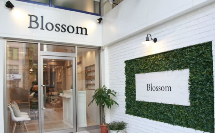 Blossom Annex 成増店 ブロッサムアネックスナリマステン の予約 サロン情報 美容院 美容室を予約するなら楽天ビューティ