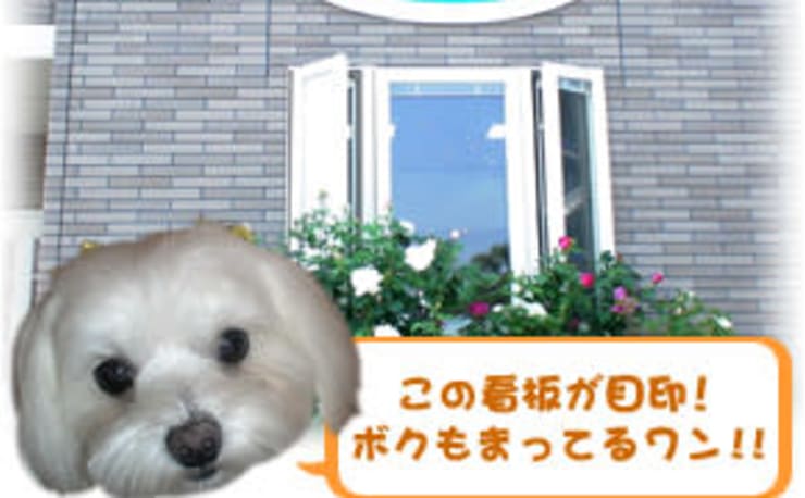 Jadeファインパーク 宇多津本店 ジェードファインパーク ウタヅホンテン の予約 サロン情報 ネイル まつげサロンを予約するなら楽天ビューティ