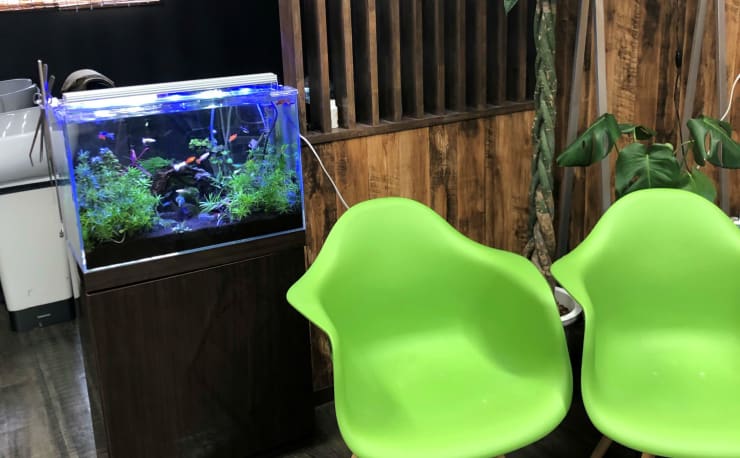 Pine パイン の予約 サロン情報 美容院 美容室を予約するなら楽天ビューティ