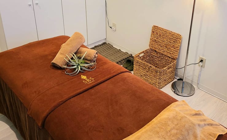 痩身、美顔、脱毛ベッド、