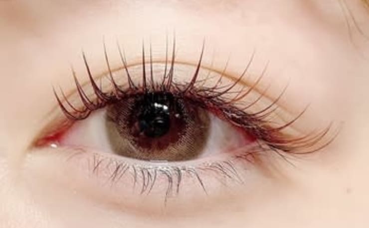 beauty:beast for eyelash 高知店(ビューティービースト フォー アイ