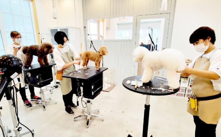 Hair Designing Five Island ファイブアイランド の予約 サロン情報 美容院 美容室を予約するなら楽天ビューティ Hair Designing Five Island ファイブアイランド の予約 サロン情報 美容院 美容室を予約するなら楽天ビューティ