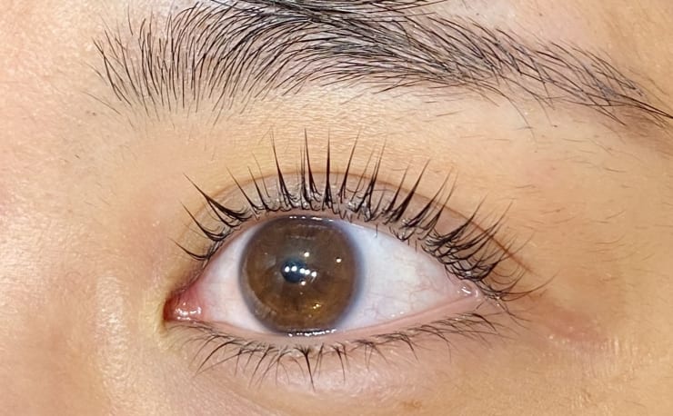 Rama Eyelash Brow Salon 立川店 ラマ アイラッシュ ブロウ サロン タチカワテン の予約 サロン情報 ネイル まつげサロンを予約するなら楽天ビューティ Rama Eyelash Brow Salon 立川店 ラマ アイラッシュ ブロウ サロン タチカワテン の予約 サロン情報 ネイル まつげサロンを予約するなら楽天ビューティ