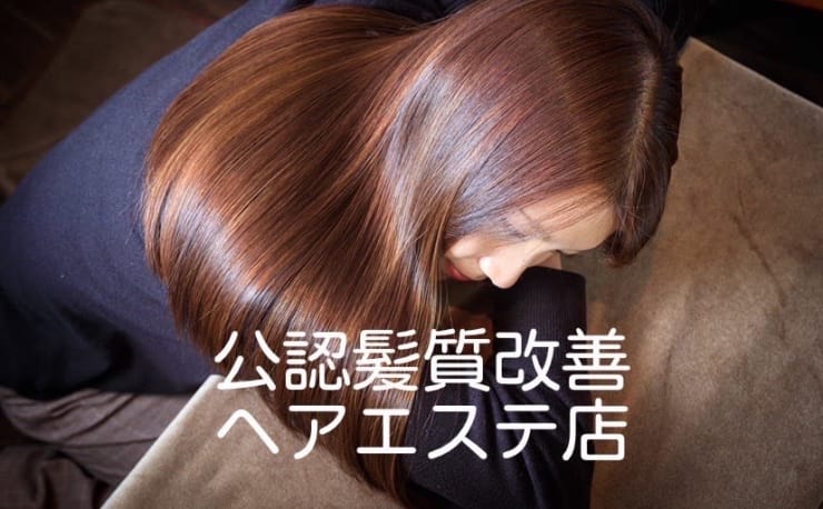 美髪に特化した髪質改善専門サロン Serendipity(ビガミニトッカシ ...