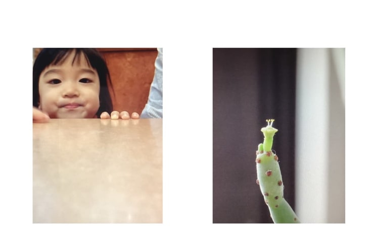 Chi Que Co チキューアンドコー の予約 サロン情報 美容院 美容室を予約するなら楽天ビューティ