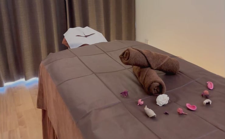 Hapro C200 ボディケアサロンベッド SEECRET C200 - VDL Hapro