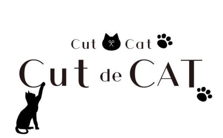 Tom 価格のご相談お気軽にどうぞ❣️ cut de CAT(カットデキャット)の予約＆サロン情報 | 美容院・美容室を