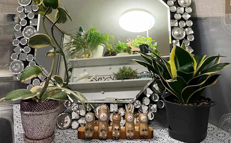 よもぎハーブ蒸し Lani Kai(ヨモギハーブムシ ラニ カイ)の予約