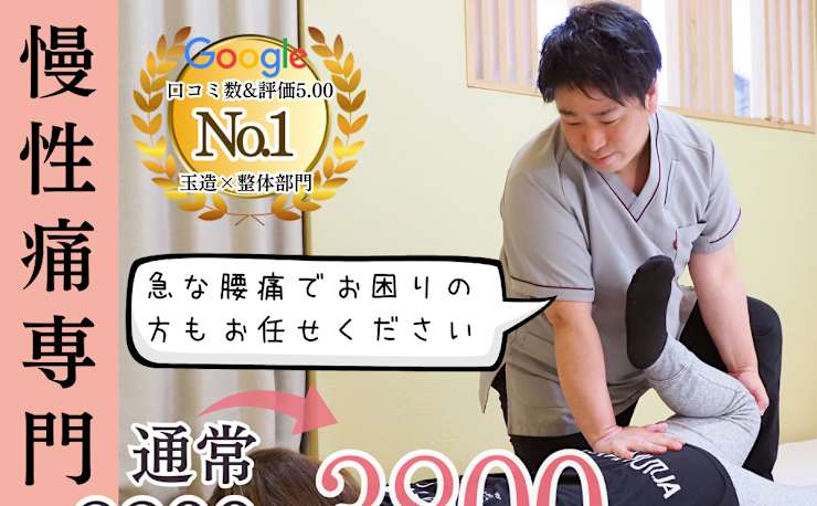 施術家のための評価とコンディショニング&トレーニング アスリートのためのコアトレ 2 ―必ず強くなるセルフ