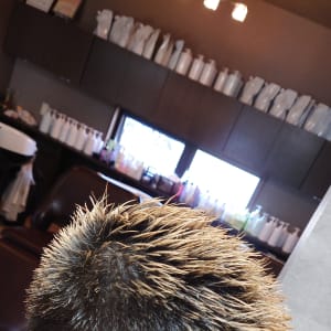浅野 勇貴 Braeve Hair Design ブレイブ ヘア デザイン のスタッフ 美容院 美容室を予約するなら楽天ビューティ