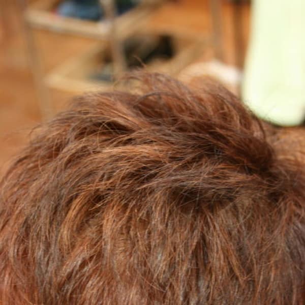 さりげないハイライトを楽しむ