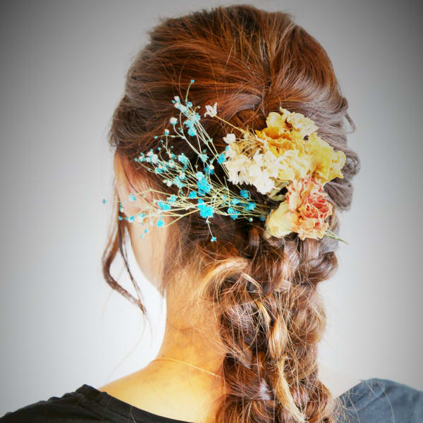 【Green Porta】　 カリーノ