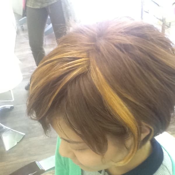 メッシュ|natural style ALTiA