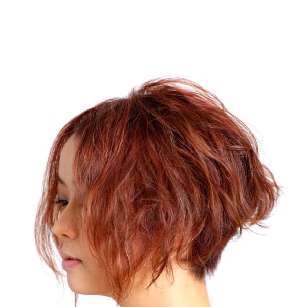 スパニッシュボブ