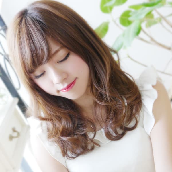 愛されクールセミディ