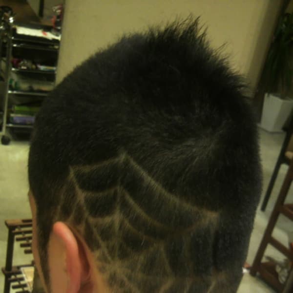 バリアート(スパイダーネット)