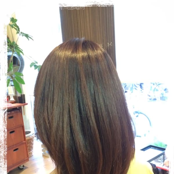 ストレートロブ