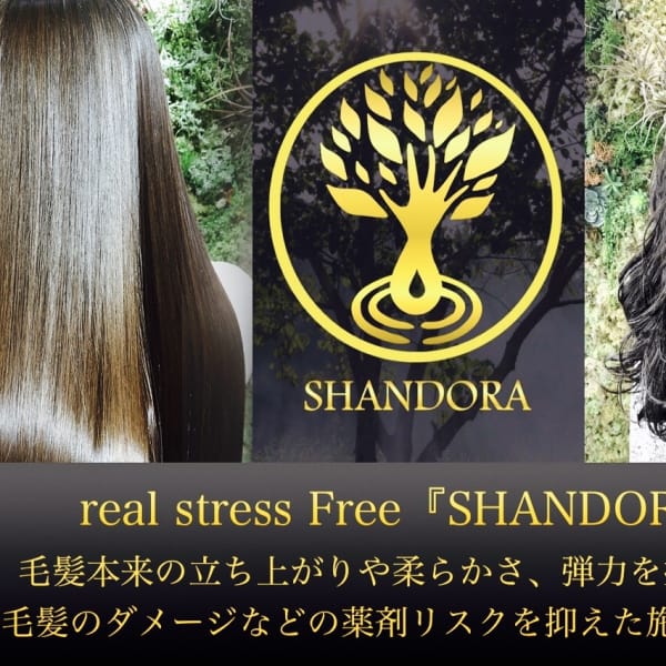 シルクのような手触りシャンドラ縮毛矯正、デジタルパーマ!