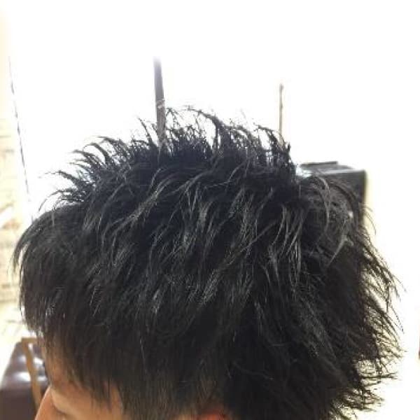 ワイルドショート　