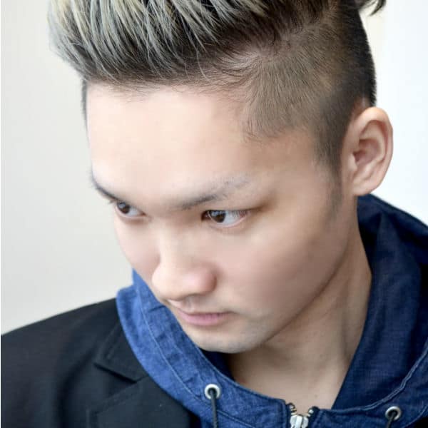 シルバーリーゼント