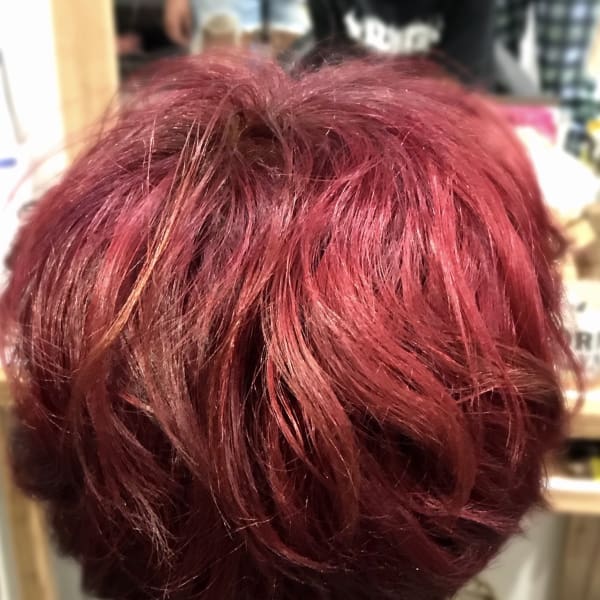 毒キノコバイオレット