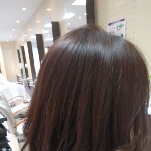 バイオレットブラウンカラー