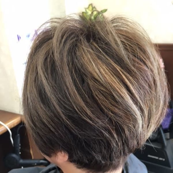 クールショート