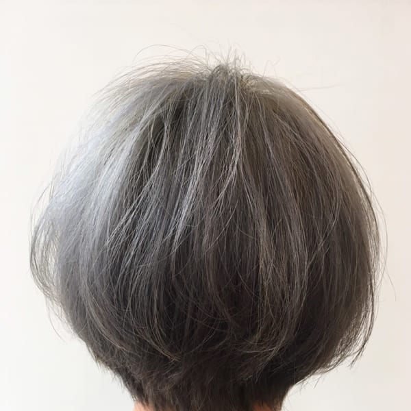 シルバーアッシュ【古正寺】【長岡】