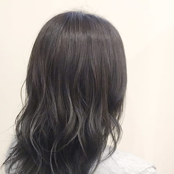 シルバーアッシュ【古正寺】【長岡】