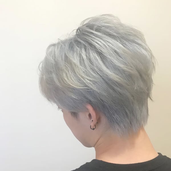 ホワイトシルバーショート【古正寺】【長岡】