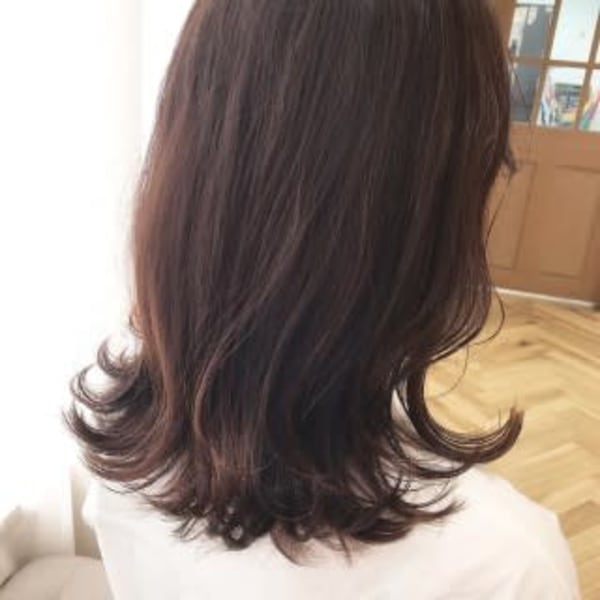 ミディアムレイヤー