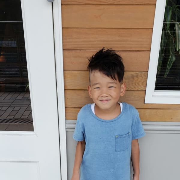 ヤマトアシメ|rice paddy