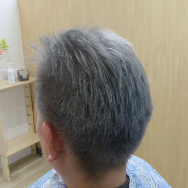 シルバーカラー