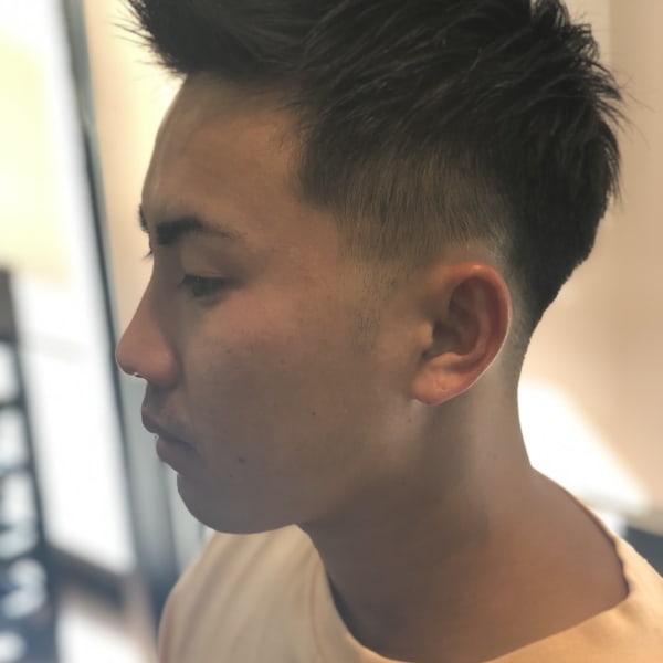 feather up fade|Le Brun