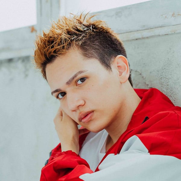 ワイルドハードショート