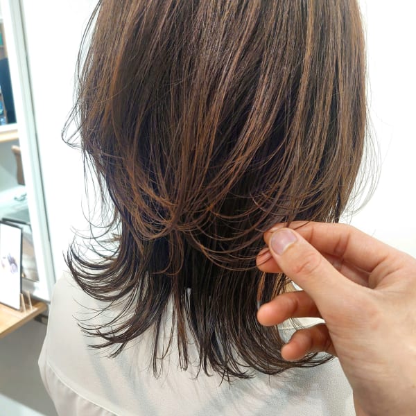 ミディアムウルフ