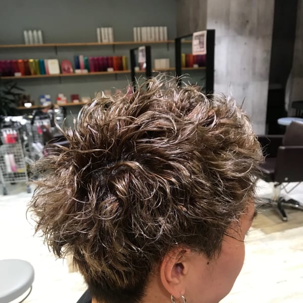 西宮スタイルコレクション