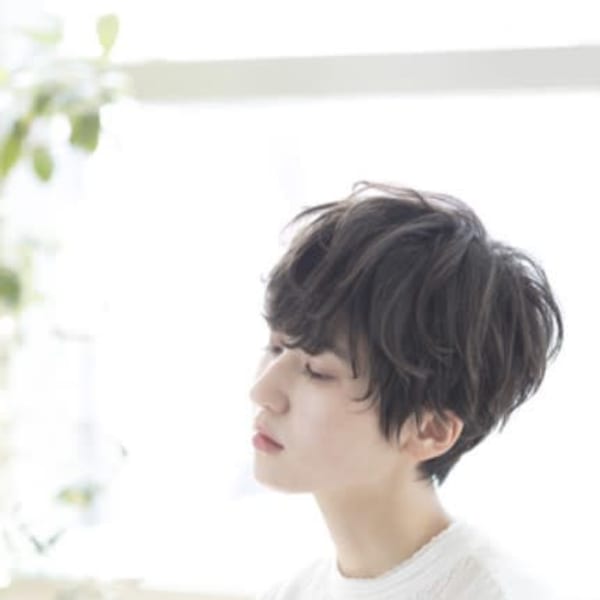 くせ毛風ショート/シアーグレージュ