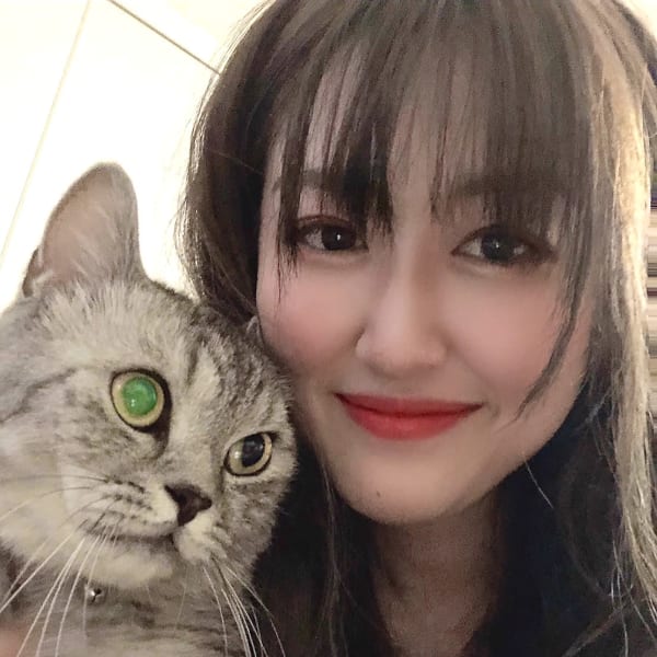 ROCO Market extensions 亀戸店