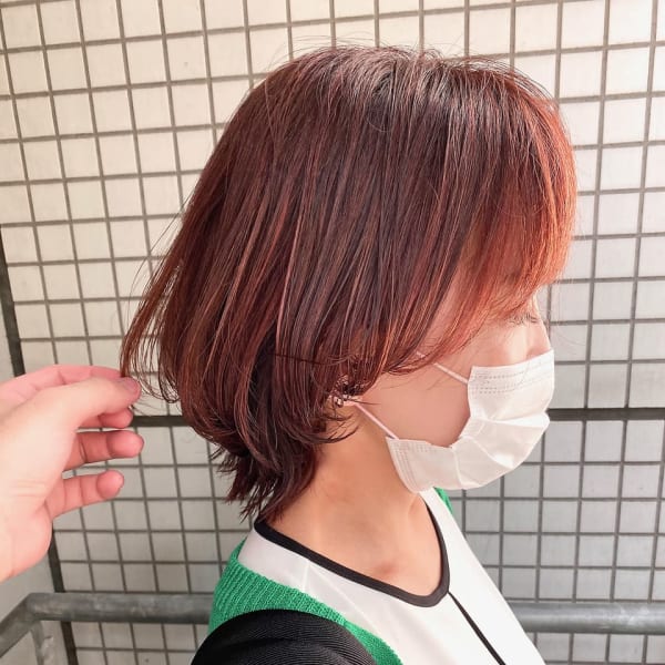 【中鉢】マッシュウルフ ハイライト