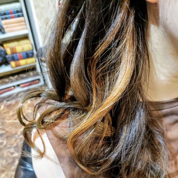 NEZUKO COLOR|Anphi 新杉田