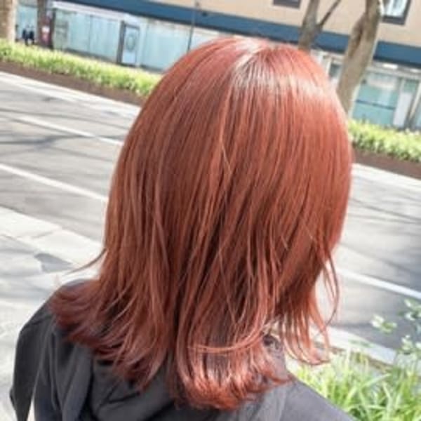 ミディアム/ウルフ/オレンジ/ベージュ