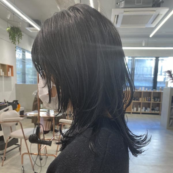 ウルフカット/ブルーブラック