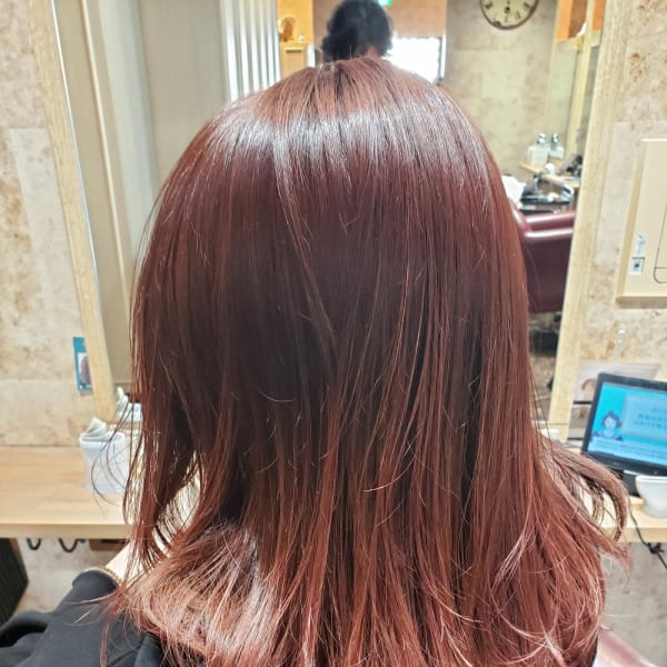 Spring Blossom|Anphi 新杉田