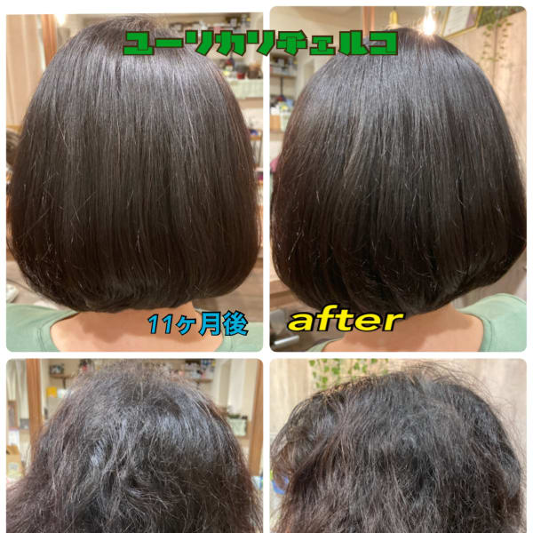 髪質改善ノンジアミンカラーボブ