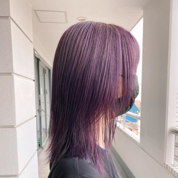 【CHESTER】ラベンダーカラー  ボブウルフ  ウルフ